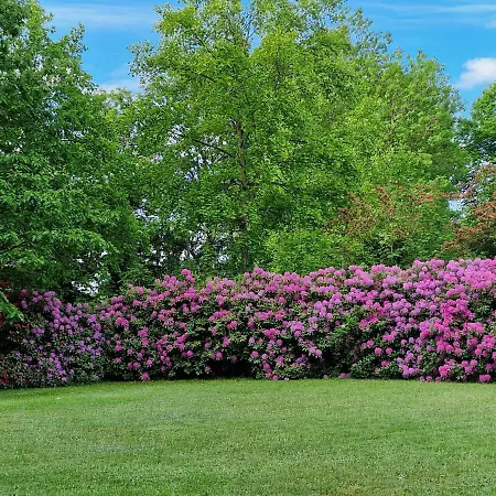 Hansens Apartment Dangast