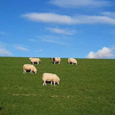 Apartment Hansens Dangast